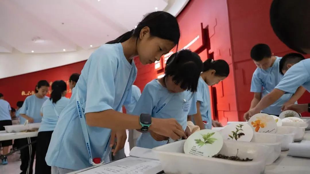 k8凯发官网集团